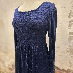 Vintage Indigo Crushed Velvet Dress